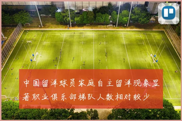 中国留洋球员家庭自主留洋现象显著职业俱乐部梯队人数相对较少